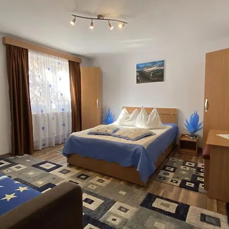 Πανσιόν Casa Fanel Buşteni