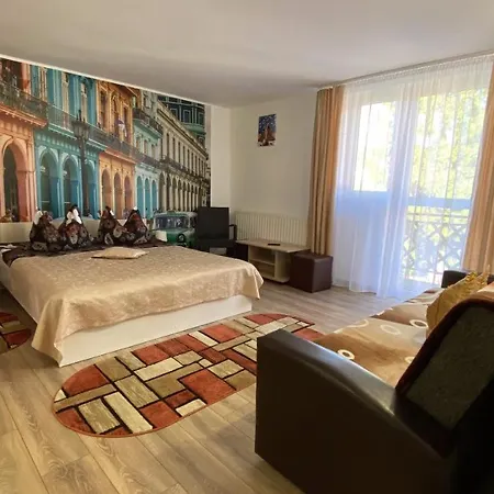 Πανσιόν Casa Fanel Buşteni