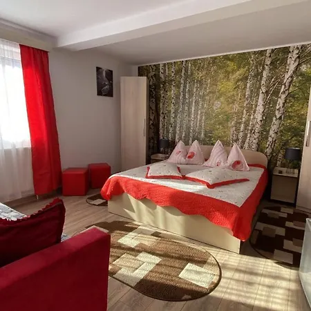 Casa Fanel Buşteni