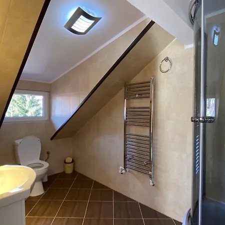 Casa Fanel Buşteni