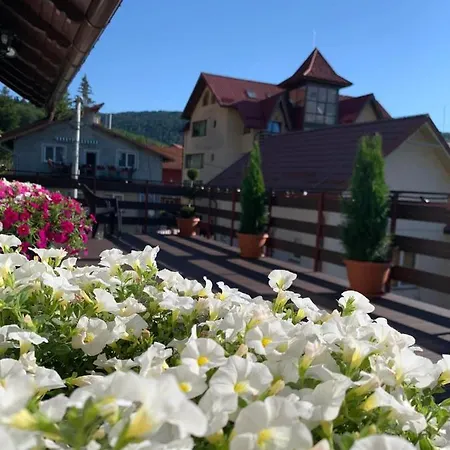 Casa Fanel Buşteni