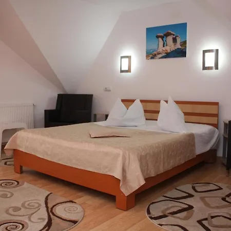 Casa Fanel Πανσιόν Buşteni