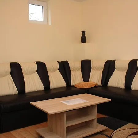 Casa Fanel Πανσιόν Buşteni