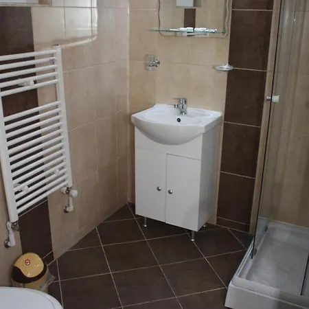Πανσιόν Casa Fanel Buşteni